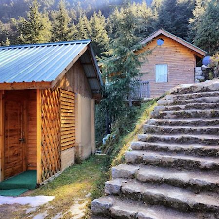 Mid Conifer Cottage Dalhousie Exteriér fotografie