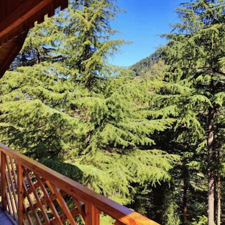 Mid Conifer Cottage Dalhousie Exteriér fotografie