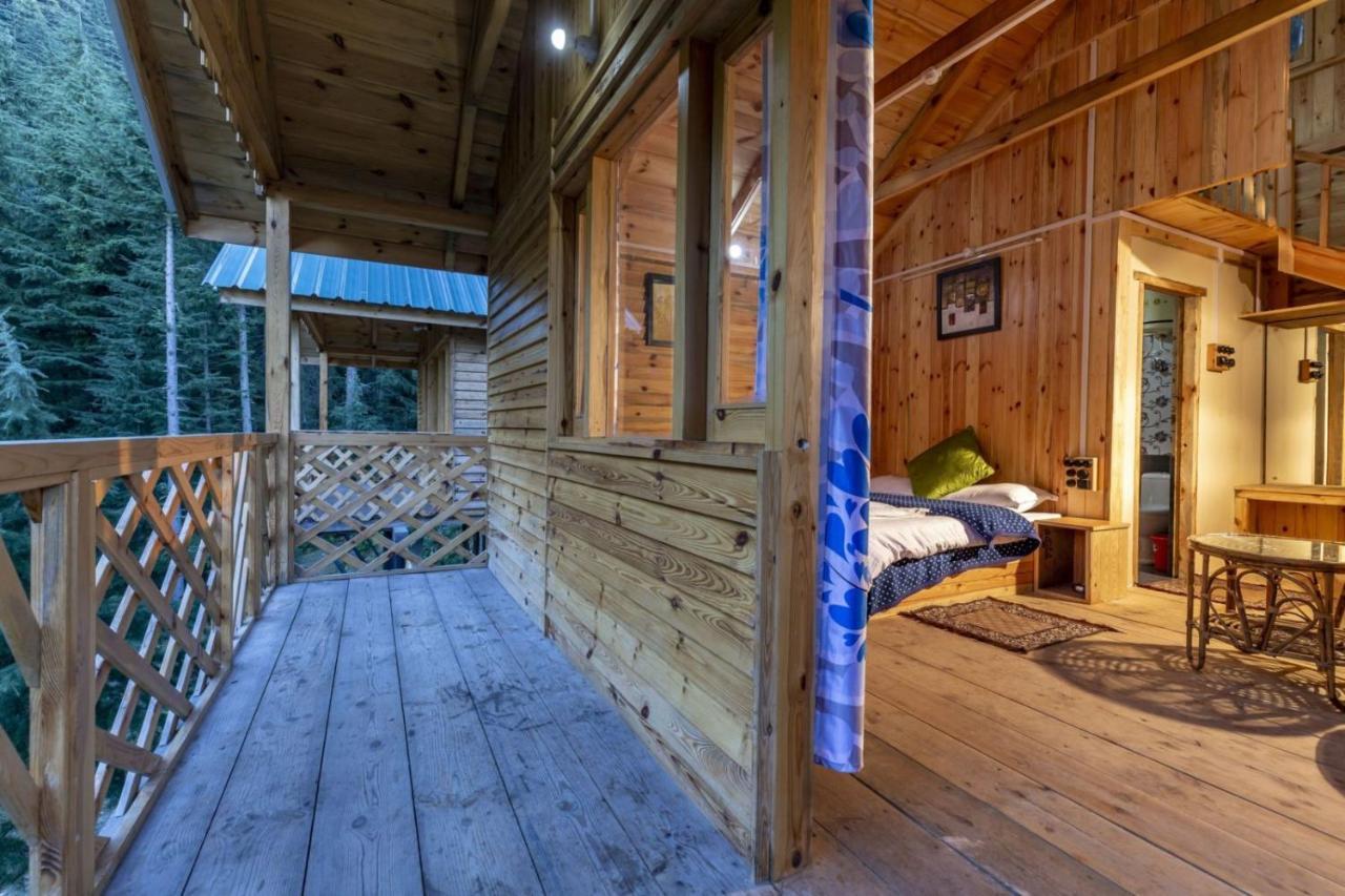 Mid Conifer Cottage Dalhousie Exteriér fotografie