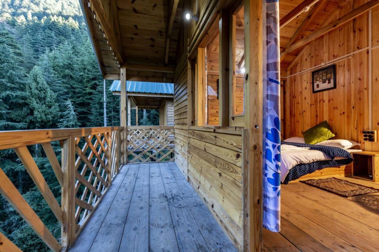 Mid Conifer Cottage Dalhousie Exteriér fotografie