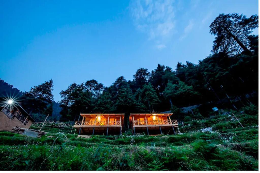 Mid Conifer Cottage Dalhousie Exteriér fotografie