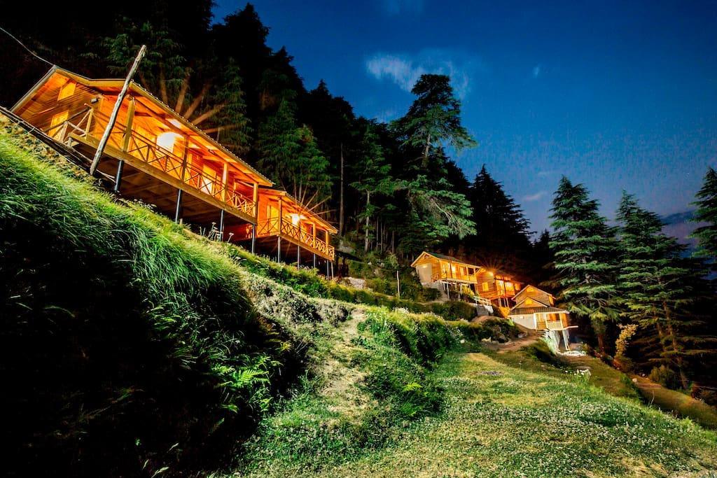 Mid Conifer Cottage Dalhousie Exteriér fotografie